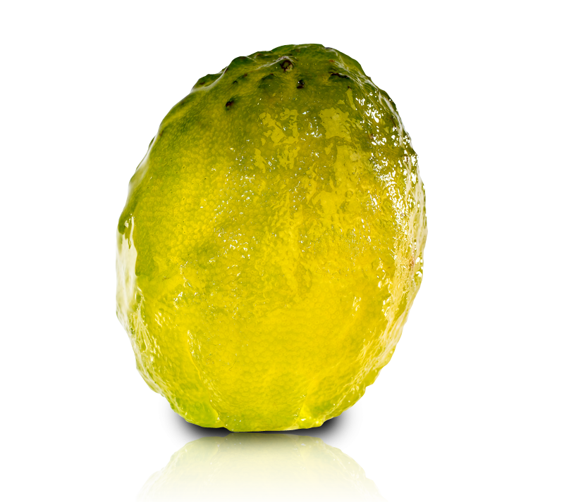 Fruits Confits Entiers Mon Blog Jardinage